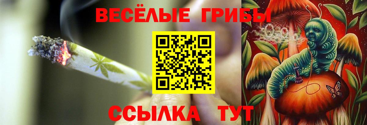 Галлюциногенные грибы ЛСД  Галлюциногенные грибы MAGIC MUSHROOMS  Вход с VPN  Рузаевка 