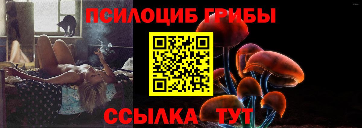 Псилоцибиновые грибы мухоморы Рузаевка